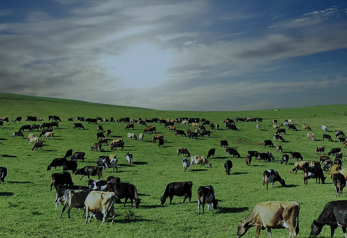 Tax Considerations of Farming Operations