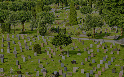 Death & Taxes: Estate Duty, Income Tax & VAT